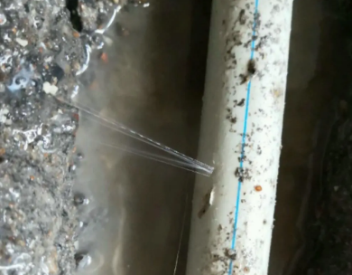 永州测漏水哪家好