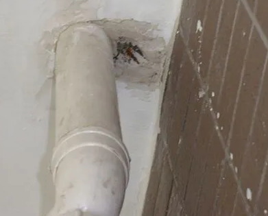 永州漏水检测哪家好